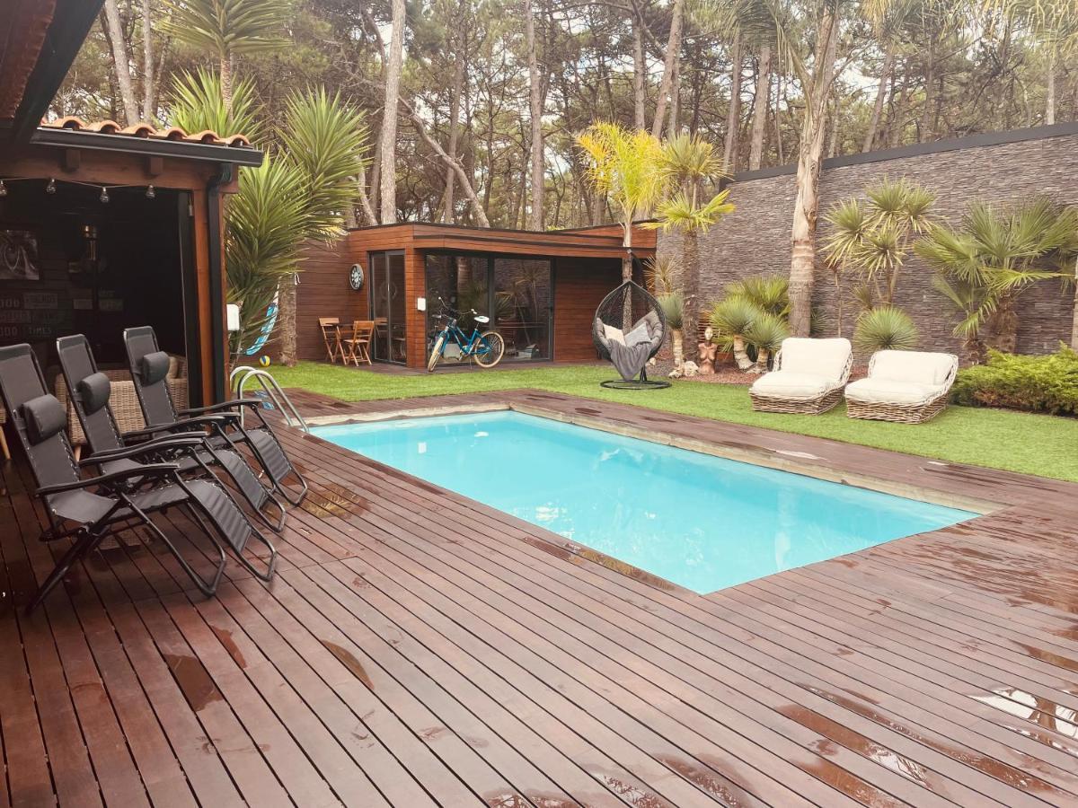 Wonderful House Between The Sea And The Forest